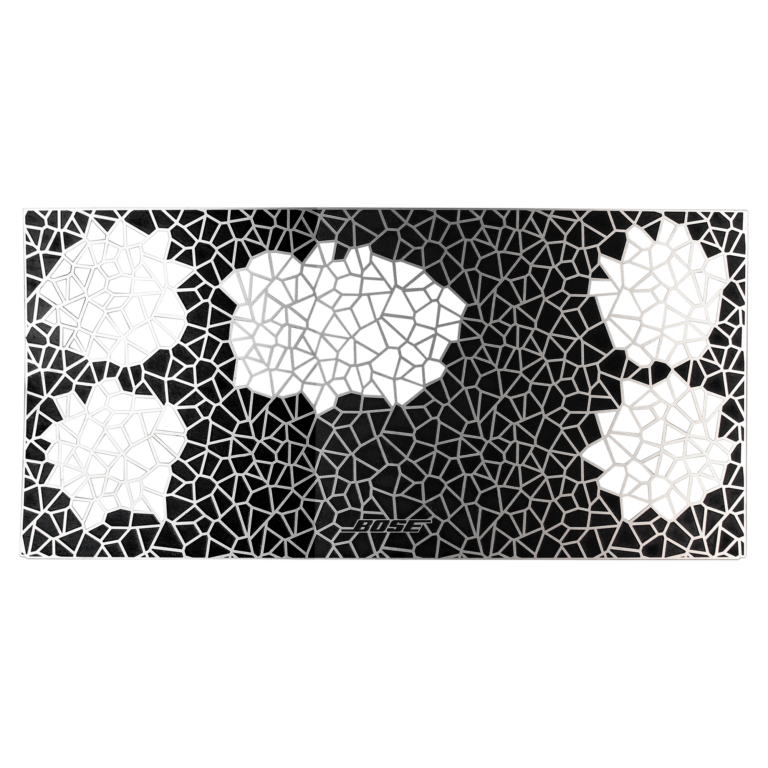 Custom Stainless Steel Speaker Grille PEI